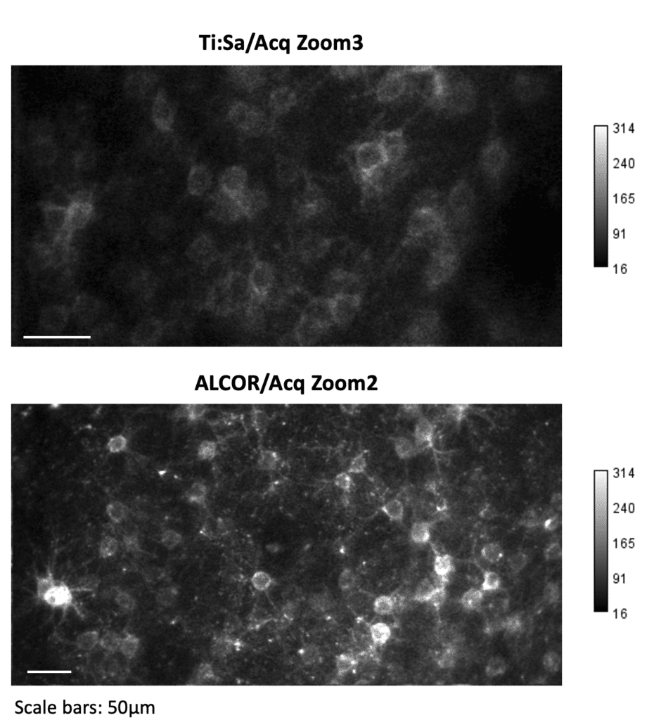 Ti:Sa vs ALCOR comparison